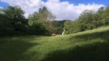 Photo de Pony Club De Barny