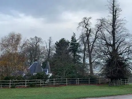 Photo de Arch from the Penny Lane Video
