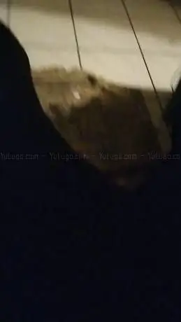 Photo de Saunaland W. Henrisch