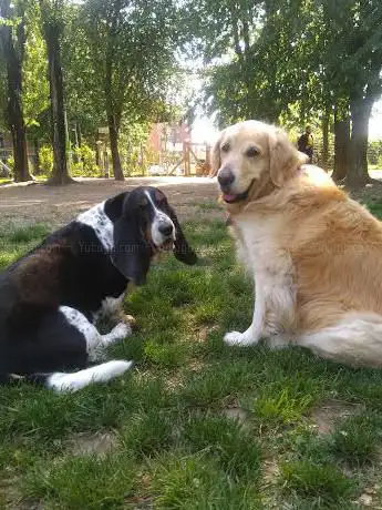 Photo de Area Cani