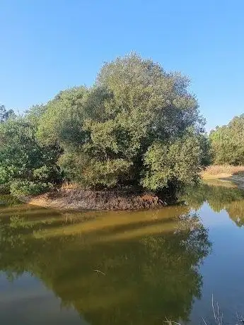 Photo de Lagoa Da Torre