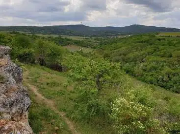 Photo de Felsenberg-Berntal Nature Reserve