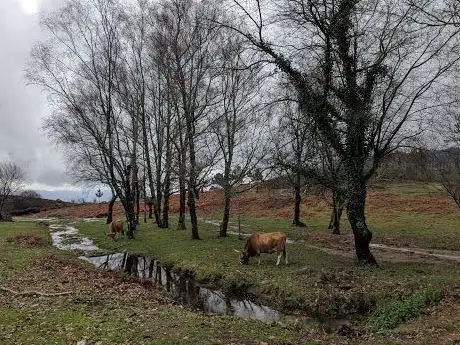 Photo de Porta do Mezio