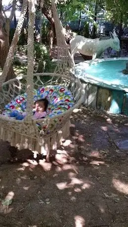 Photo de Doctor's garden