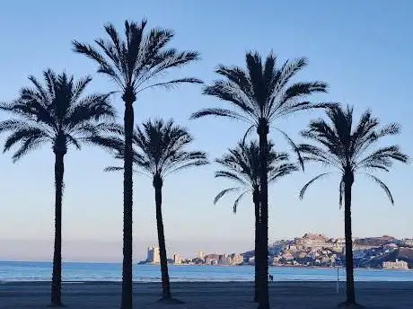 Photo de Platja de Cullera