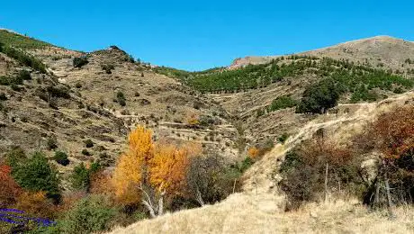 Photo de Collado del Conde