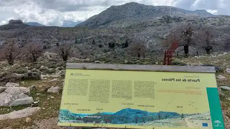 Photo de Puerto de los Pilones