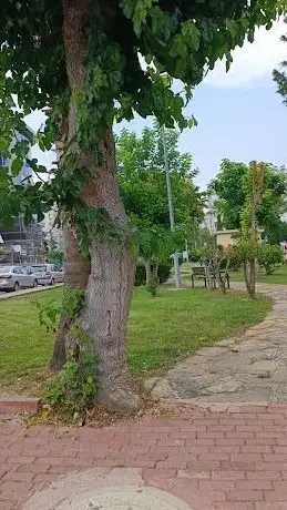 Photo de ZAFER GÜR PARKI