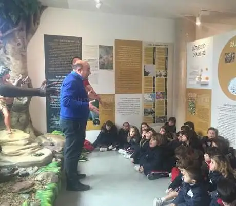 Photo de MUSEO VALENCIANO DE LA MIEL