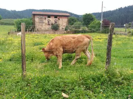 Photo de Lorenzo Deunaren Baseliza