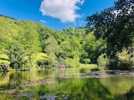 Photo de Canonteign Falls