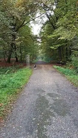 Photo de Franzosenstr.