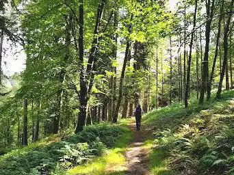 Photo de Arboretum de Bouillon
