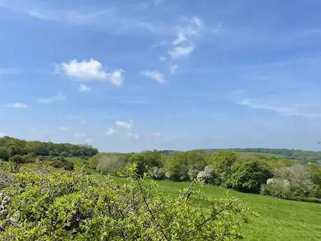 Photo de Ramsden Corner Plantation