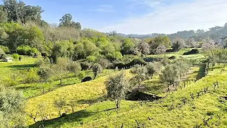 Photo de Parque de Gerações Ativas em Figueiró