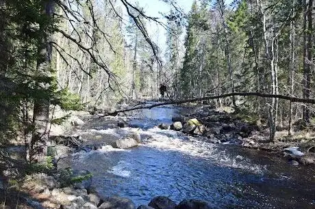 Photo de Testeboån