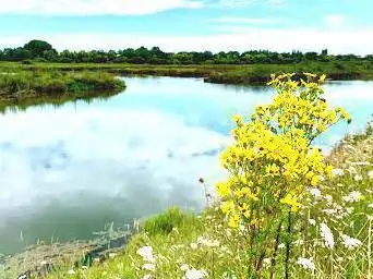 Photo de Marais des Bris