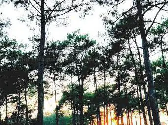 Photo de Parc de la Nature