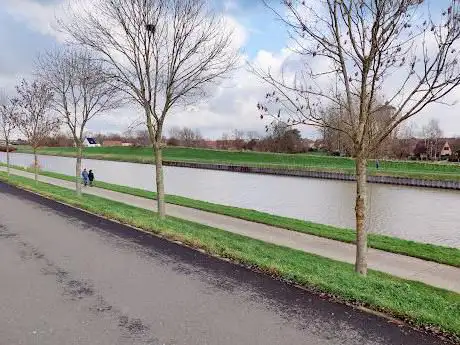 Photo de Het moeras Natuurgebied
