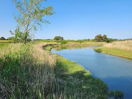 Photo de réserve de Belle Isle Marsh