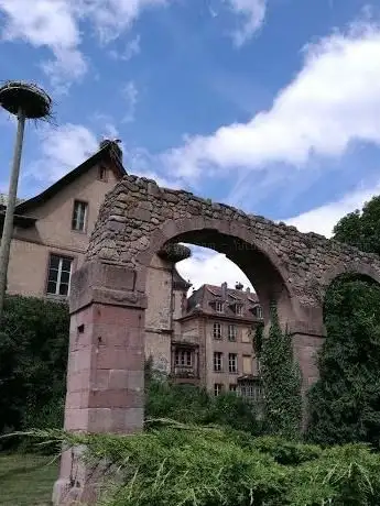 Photo de Les ruines du cloître de Munster