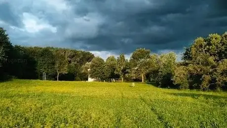 Photo de Phoenix Beckum Disc Golf Parcours