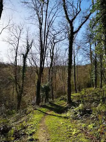 Photo de Quants Wood
