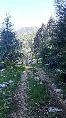 Photo de Dibek National Park