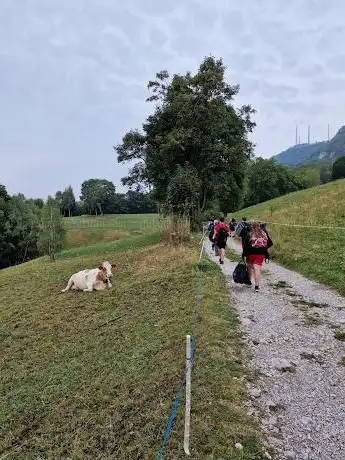 Photo de Sentiero panoramico
