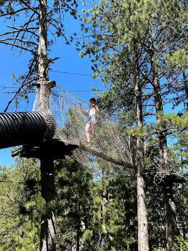 Photo de Du Haut Des Arbres