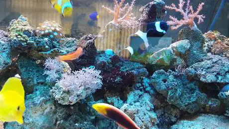 Photo de Waterworld Aquatics