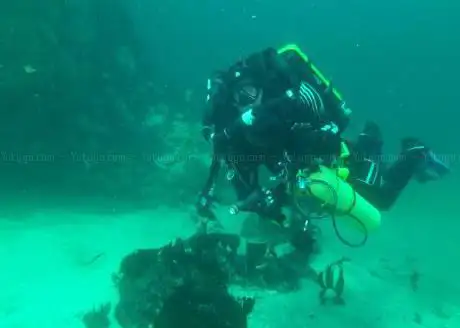 Photo de DiveStay (WaveDancer)