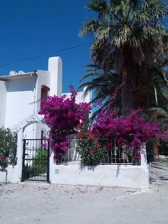 Photo de Site Sineması