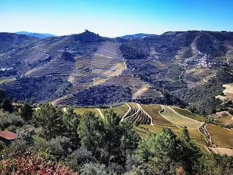 Photo de Miradouro Terra de Fernão de Magalhães