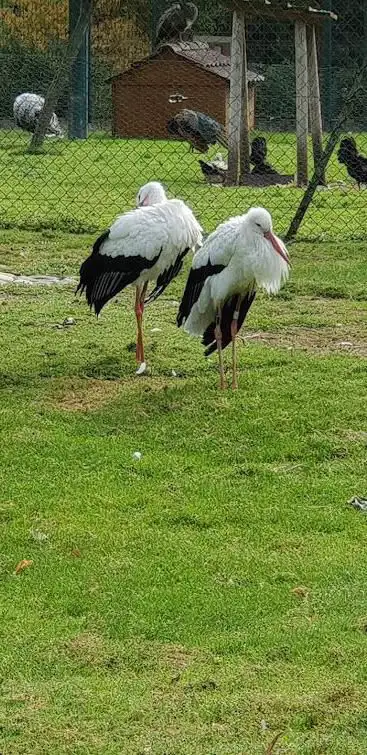 Photo de Parc de l'Eblein