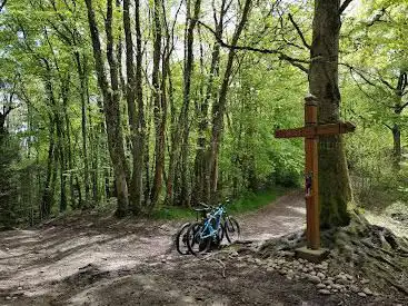 Photo de Croix du moine mort