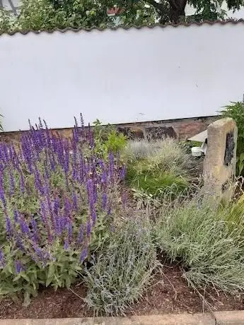 Photo de Paul Sonntag - Gartengestaltung und -pflege