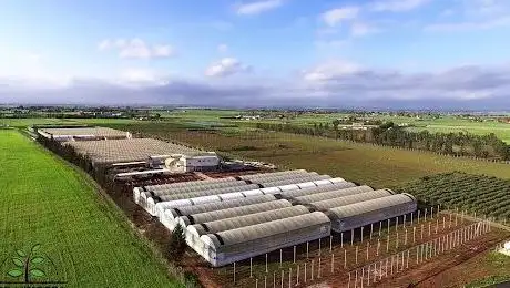 Photo de Agromillora Maroc