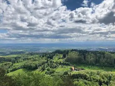 Photo de Palmfelsen