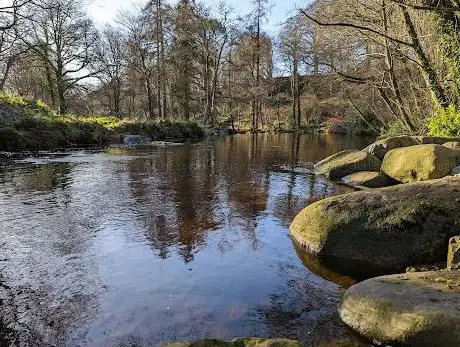 Mourne Park  Woodland Trust