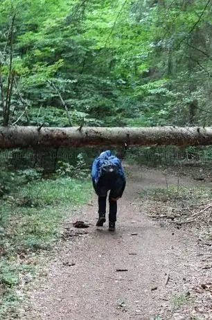 Photo de Weg der Liebenden