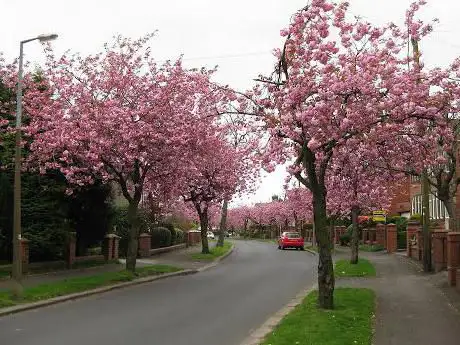Photo de Garden Suburb