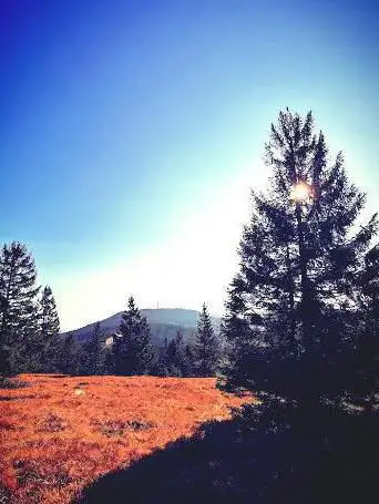Photo de Hochkopf