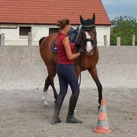 Photo de Reitstall Petrak