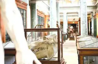 Photo de Musée Atger