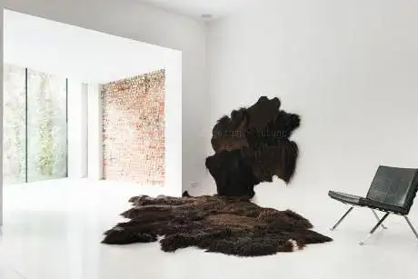 Photo de galerie van caelenberg