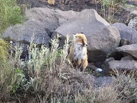Photo de Accès Vallée du BÅ“uf