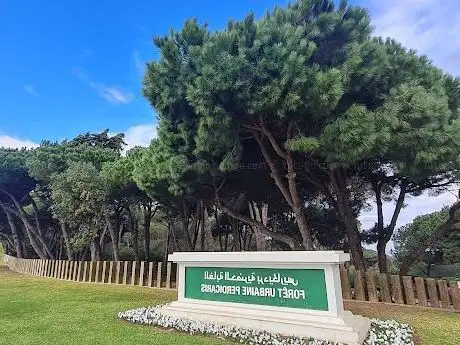 Photo de مدخل منتزه الرميلات