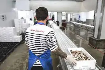 Photo de Le Belvédère de la criée du Grau d'Agde