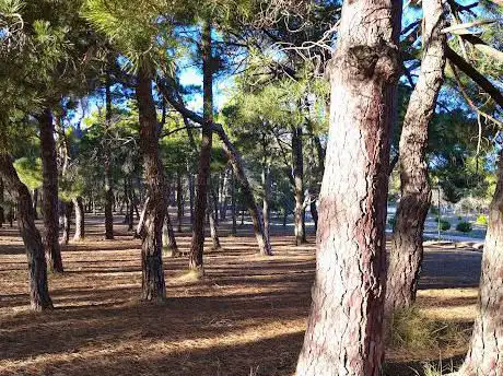Photo de Negrete Park - Parque Deportivo Natural